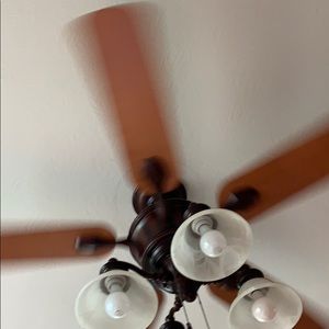 Meet your Posher, Tyson